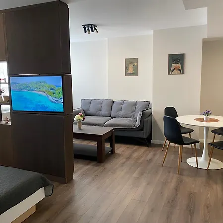 Balkan Tower- Viktoria Appartement