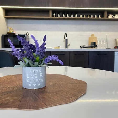 Balkan Tower- Viktoria Appartement