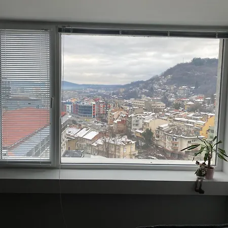 Balkan Tower- Viktoria