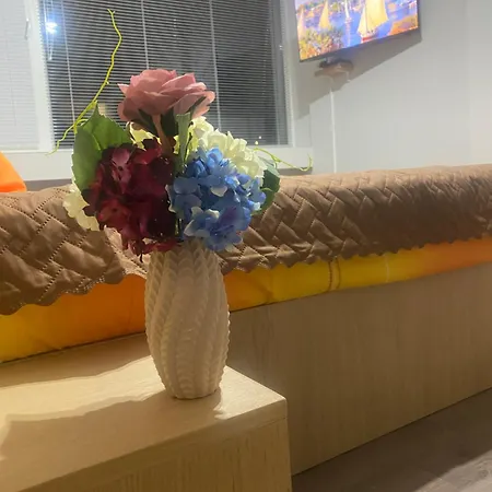 Balkan Tower- Viktoria Appartement