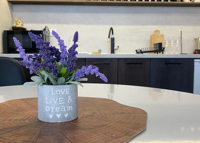 Balkan Tower- Viktoria Апартаменты