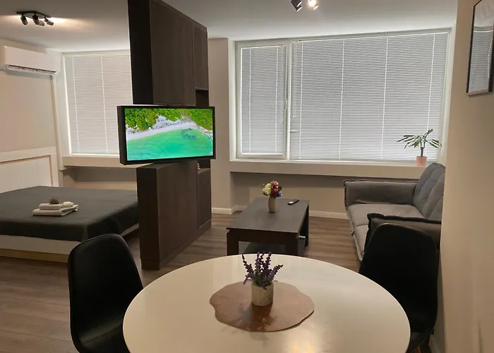 Balkan Tower- Viktoria Апартаменты